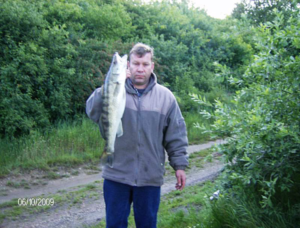 Zander, 72 cm, 3 kg, gefangen von Steffen Reuther im Juni 2009