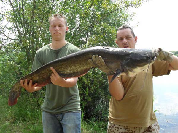Wels - 134 cm - 13,8 kg, gefangen am 09.07.2011 von Heiko Raschke auf Fischpellets-Tauwurmbündel