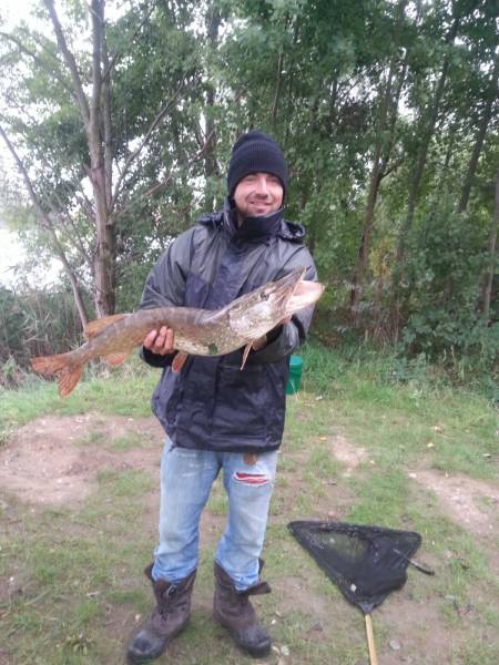 Hecht - 90 cm gefangen von Ronny Kuhfuss am 06.09.2015 5.3 kg (auf Köderfisch)